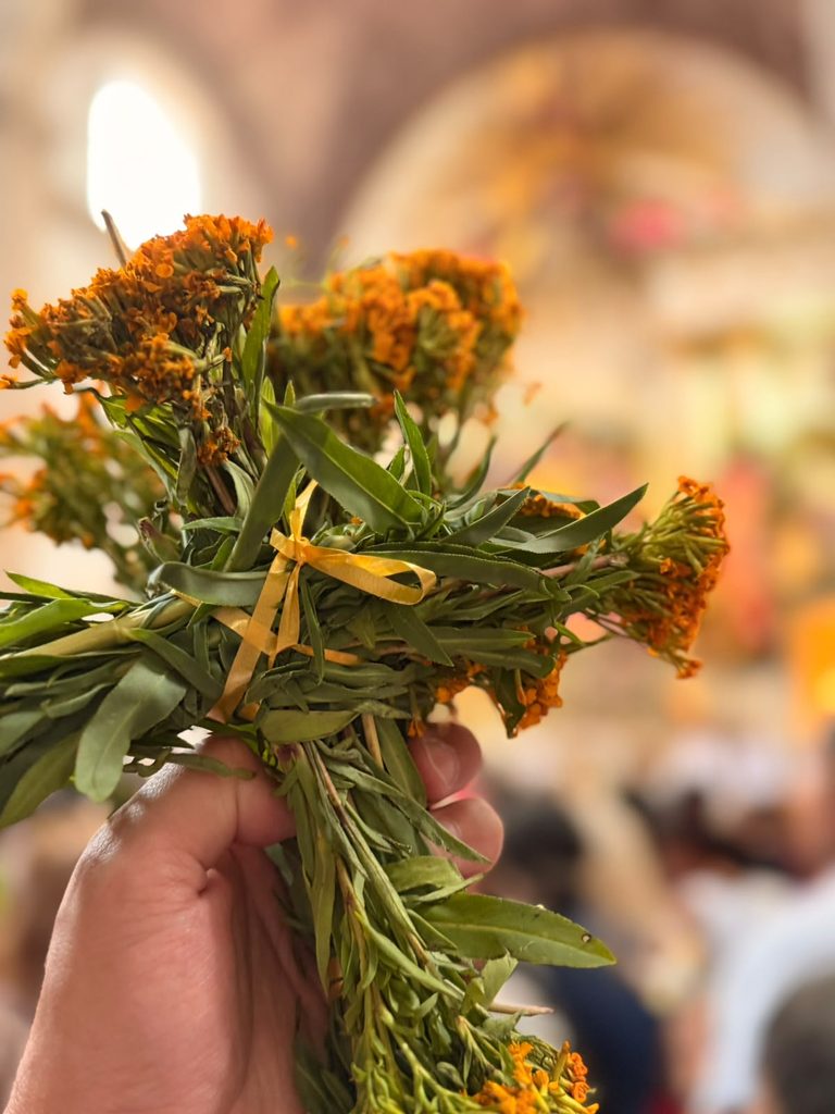 La cruz de pericón, la flor de Tláloc que sigue en las puertas de la ciudad